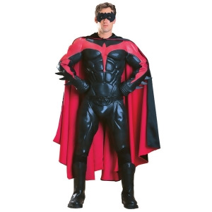 Collector's Edition Robin Costume for Men - LARGE