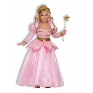 Sparkle Princess Toddler Costume - MEDIUM