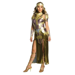 Wonder Woman Movie Hippolyta Deluxe Women's Costume - Small