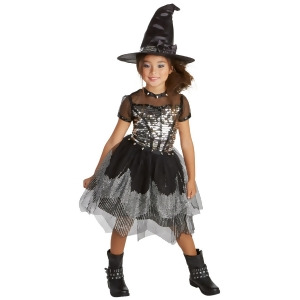 Silver Rock Witch Child Costume - Small (4-6)