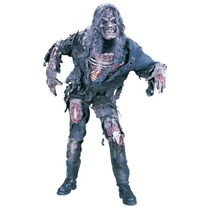 Complete 3-D Zombie Teen Costume - X-Large