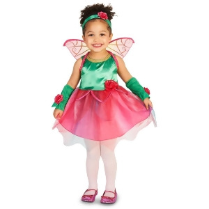 Fairy Princess Toddler Costume - Toddler 2-4