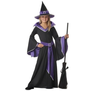 Incantasia The Glamour Witch Child Costume - Large