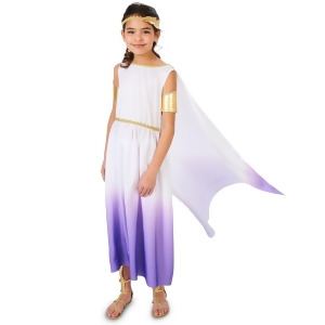 Purple Passion Greek Goddess Child Costume - Large
