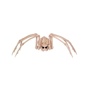 15 Skeleton Spider - All