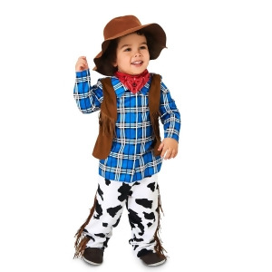 Rodeo Cowboy Toddler Costume - Toddler 2-4