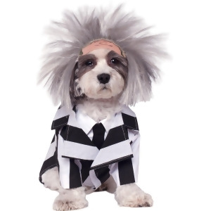 Beetlejuice Costume For Pets - Large