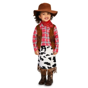 Cowgirl Princess Toddler Costume - Toddler 2-4