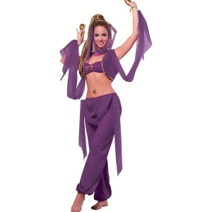 Desert Princess Adult Costume - One Size