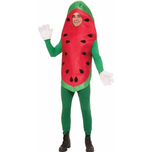 Adult Watermelon Costume - One Size