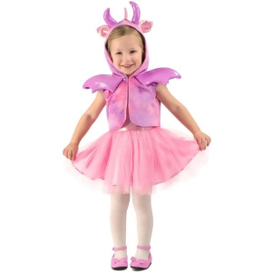 Toddler Princess Dragon Infant Costume - 6/12M