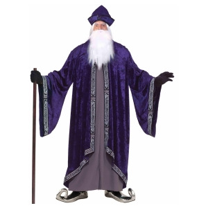 Men's Plus Size Grand Wizard Costume - All
