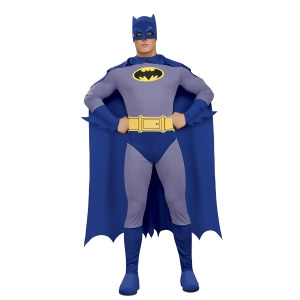 The Brave and the Bold Mens Batman Costume - Medium