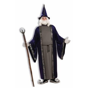 Men's Plus Size Wizard Costume - All