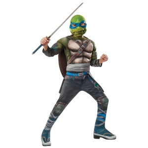 Boys Tmnt Deluxe Leonardo Costume - Medium