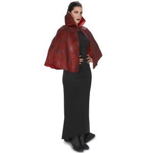 Red Foil Print Spiderweb Adult Cape - All