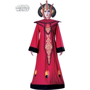 Women's Deluxe Queen Amidala Costume - 10-14