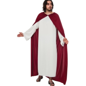 Mens Joseph Costume - Standard