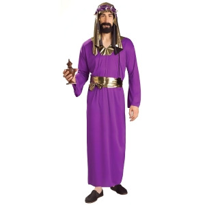 Purple Wiseman Costume for Men - All