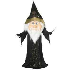 Adult Wizard Mascot Costume - All