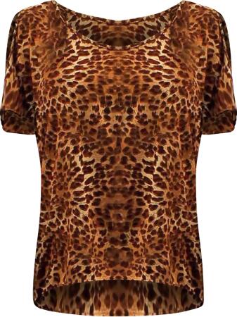 Cold Shoulder Animal Print Top - Large