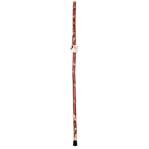 Whistle Creek Sassafras Hiking Staff 54 in. 1410 - All