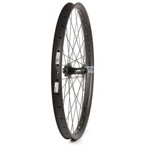 Eclypse Db736 Bicycle Wheel 27.5' 15mm Ta Old 110mm Brake Disc Is 6-bolt Front 041405-02-275 - All