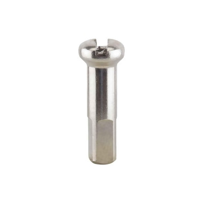 New DT Swiss 2.0 x 12mm Silver Brass Nipples Box of 100