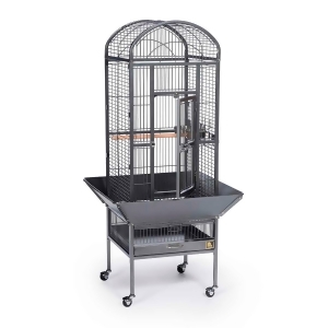 https://img.shop.com/Image/240000/249500/249525/products/1873448398__300x300__.jpg