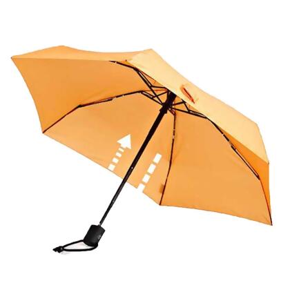 Euroschirm Dainty Automatic Umbrella - All