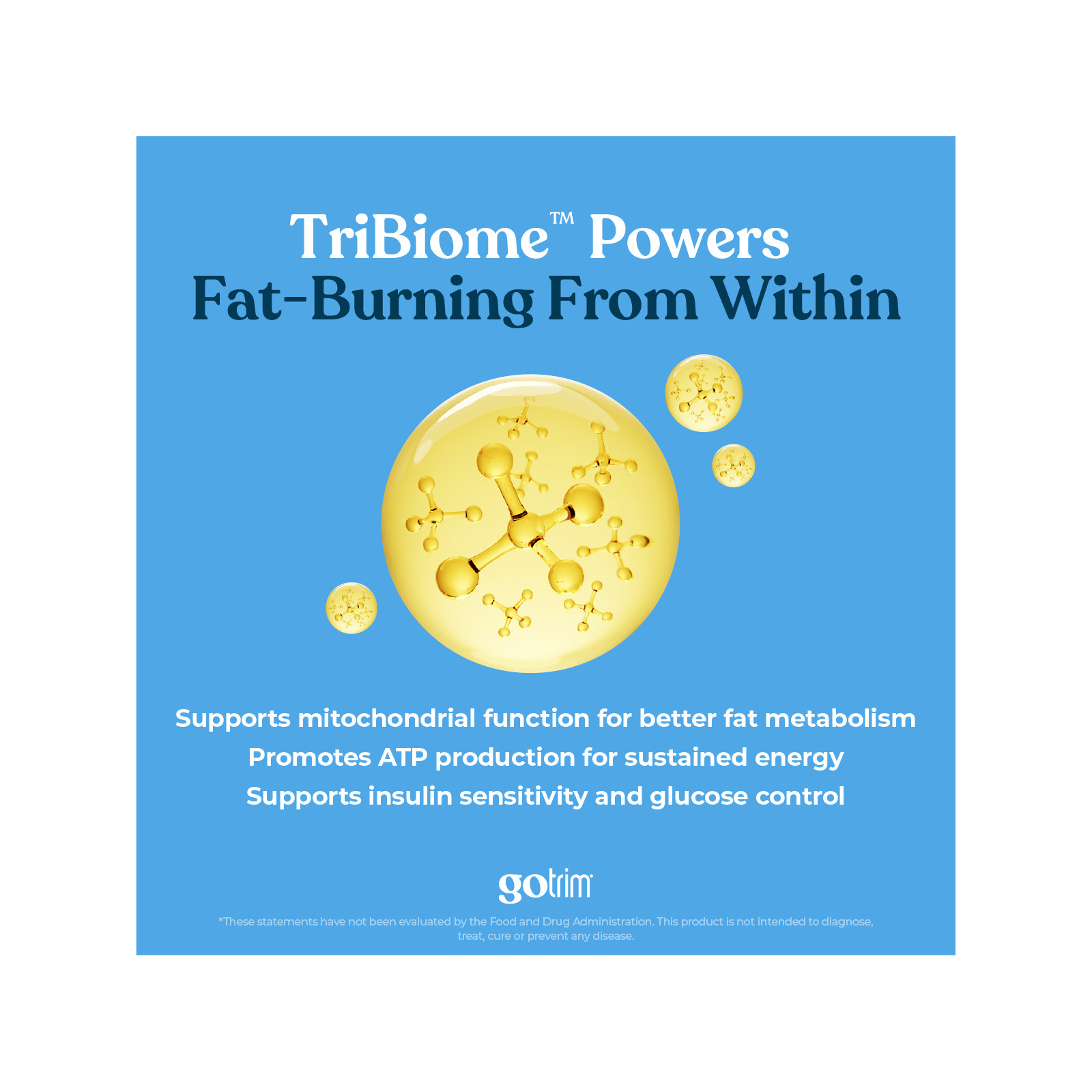 nutraMetrix GoTrim® Thin