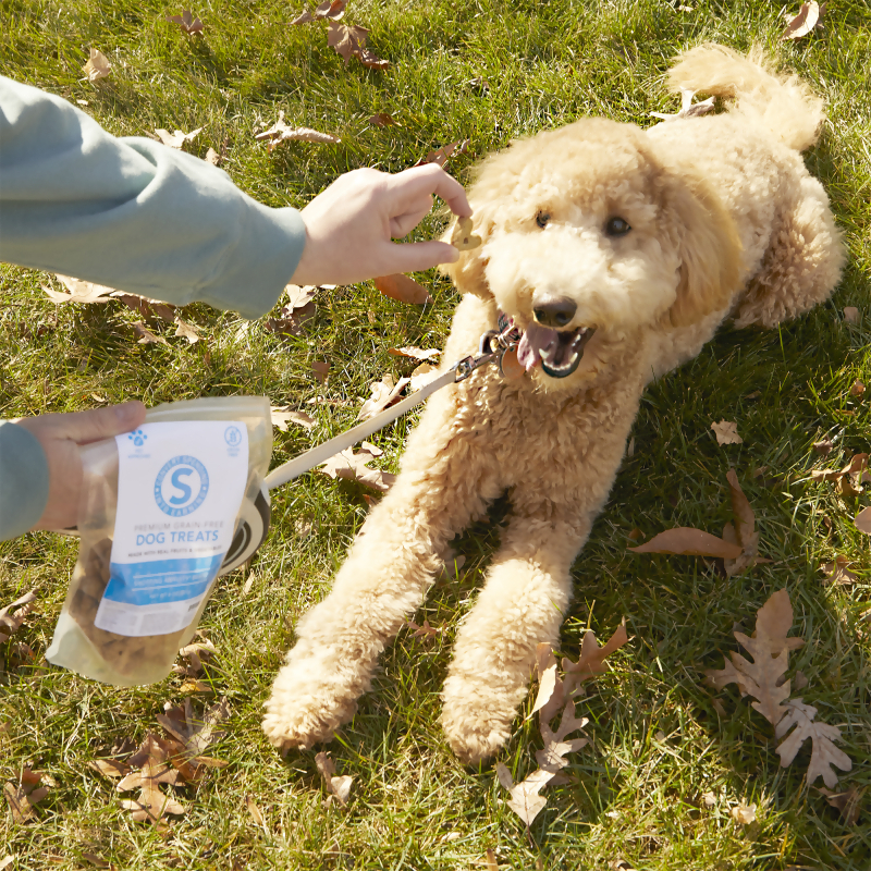 Shopping Annuity Brand Premium Grain-Free Dog Treats