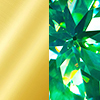 Gold with Green Gem