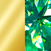 Oro con gema verde transparente