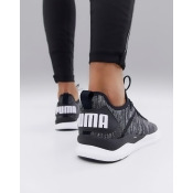 Puma Puma