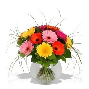 Finest Bouquets - Gerbera Bouquet Finest Bouquets - Gerbera Bouquet