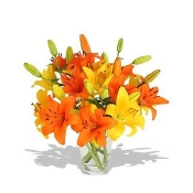 Finest Bouquets - Lilypalooza - Deluxe Finest Bouquets - Lilypalooza - Deluxe