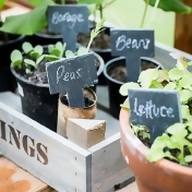 Garden Trading Greenhouse Slate Tags, Set of 6 Garden Trading Greenhouse Slate Tags, Set of 6