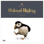 Natural History By Ben Rothery 2019 Calendar Natural History By Ben Rothery 2019 Calendar