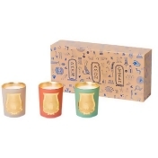Cire Trudon Odeurs D'Egypte Christmas Gift Candles, Set of 3 Cire Trudon Odeurs D'Egypte Christmas Gift Candles, Set of 3