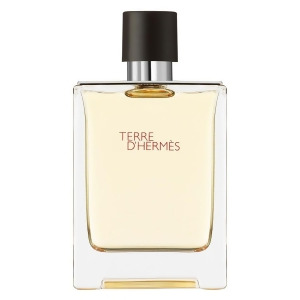 Terre D'Hermes For Men by Hermes 2.5 oz Edp Spray - All
