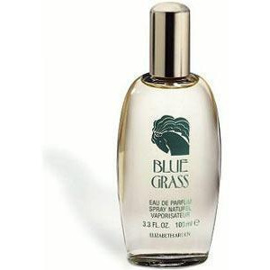 Blue Grass For Women by Elizabeth Arden 3.4 oz Edp Spray - All