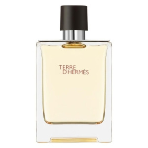 Terre D'Hermes For Men by Hermes 2.5 oz Edp Spray Tester - All