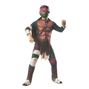 Childs Teenage Mutant Ninja Turtles Tmnt Raphael Boy's Costume - Boys Large (12-14)