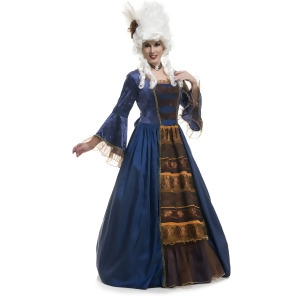 Women's Victorian Ball Gown Deluxe Taffeta Full Length Dress - Womens Small (5-7) approx 26 waist~ 37.5 hips~ 36 bust~ A-C