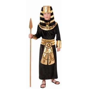 Child's Boys Egyptian King High Pharaoh Black Robes Costume - Boys Large (12-14) for ages 8-10 approx 31"-34" waist - 54-60" height