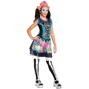 Child's Girls Monster High Skelita Calaveras Dress Costume - Girls Small (4-6) for ages 3-5~ 36-47 lbs approx 23"-25" chest~ 21"-22" waist~ 23-25" hip