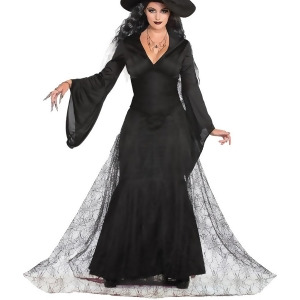 Adult's Womens Elegant Classic Witch Dress Costume - Women's Medium-Large (8-12) - approx 28-32 waist - 37-41 hips - 36-40 bust