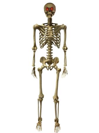 Deluxe 5' Posable Skeleton With LED Eyes Decoration - 5' 