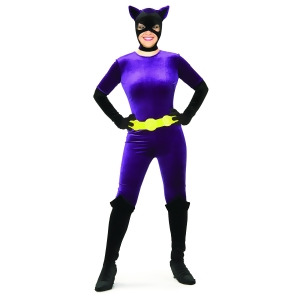 Adult Gotham Girls Batman Catwoman Super Hero Costume - Womens Small (4-6) approx 32-34" bust & 22-24" waist